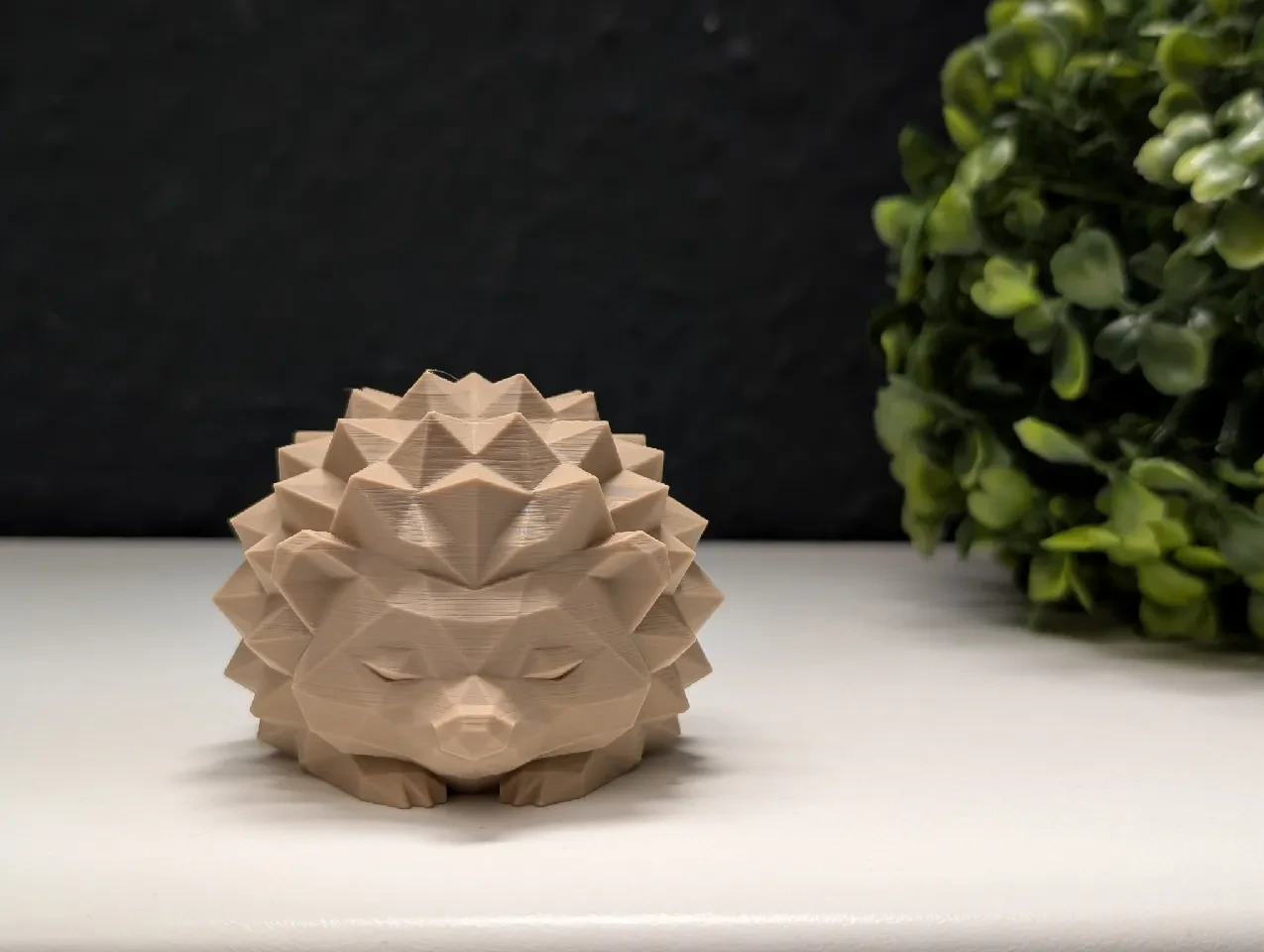 Erizo Zen La Dulce Geometría de la Calma