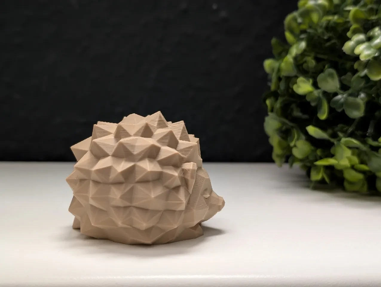 Erizo Zen La Dulce Geometría de la Calma