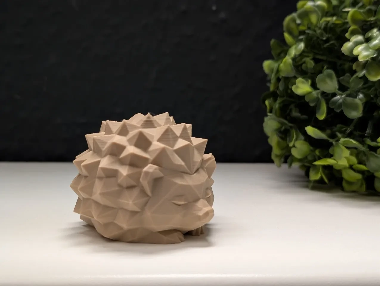 Erizo Zen La Dulce Geometría de la Calma